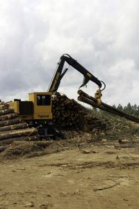 Ideal Logging