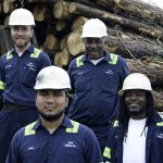 Ideal Logging clear cut crew