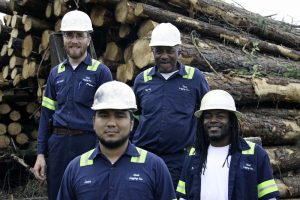 Ideal Logging clear cut crew