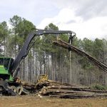 Ideal Logging log crews