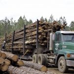 Ideal Logging truck