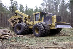 F&F Trucking & Timber
