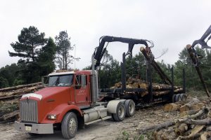 Jeff Powell Logging truck
