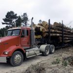 Jeff Powell Logging truck