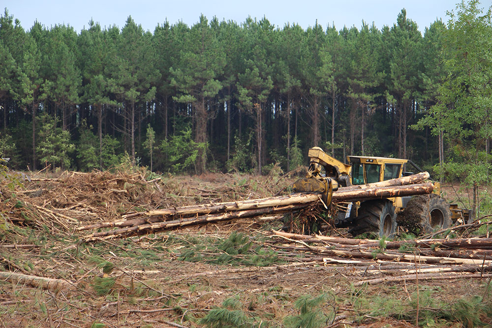Rodrigues Sons Logging | Bigger In Texas