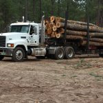Timber Source, LLC