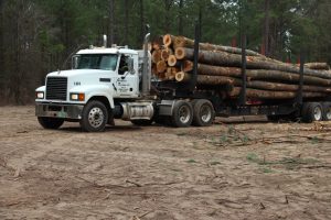 Timber Source, LLC