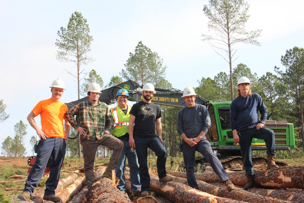 Southern Pine Timber | Processing Plan
